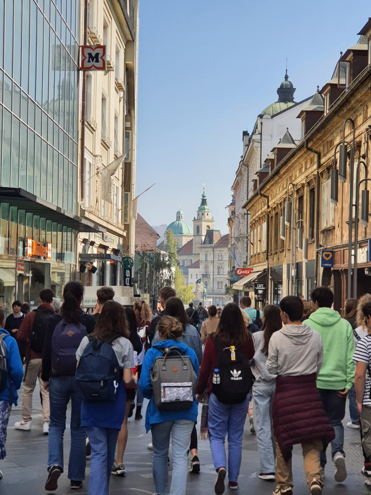 L'institut saintdominique de mortefontaine Établissement privé